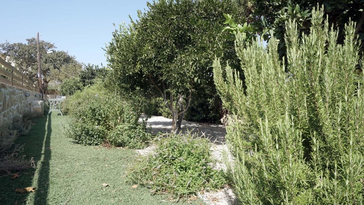 Studio Eleni - Oasis Holiday Houses Κόκκινος Πύργος Εξωτερικό φωτογραφία