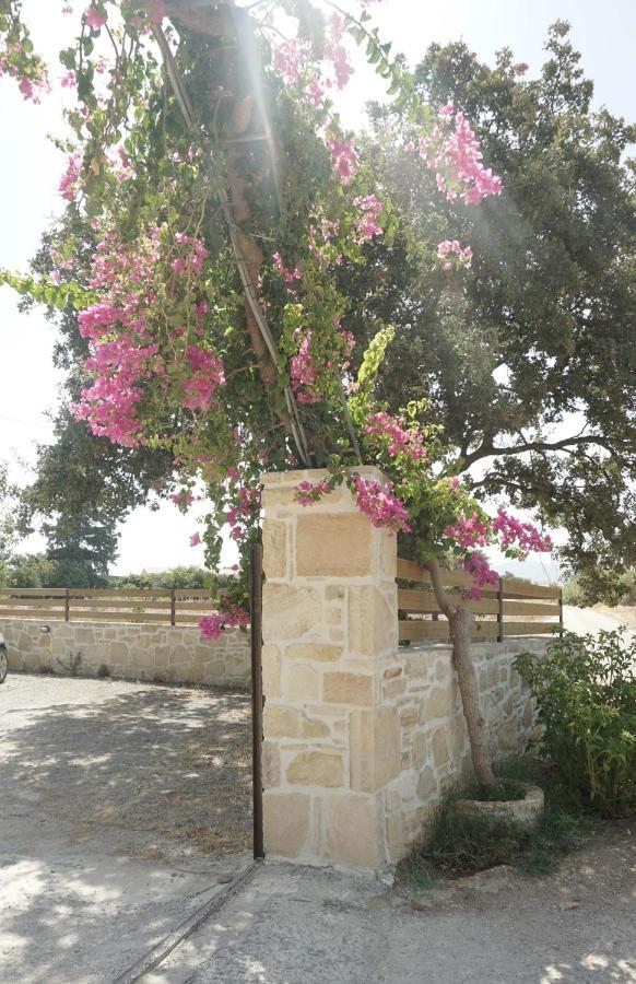 Studio Eleni - Oasis Holiday Houses Κόκκινος Πύργος Εξωτερικό φωτογραφία